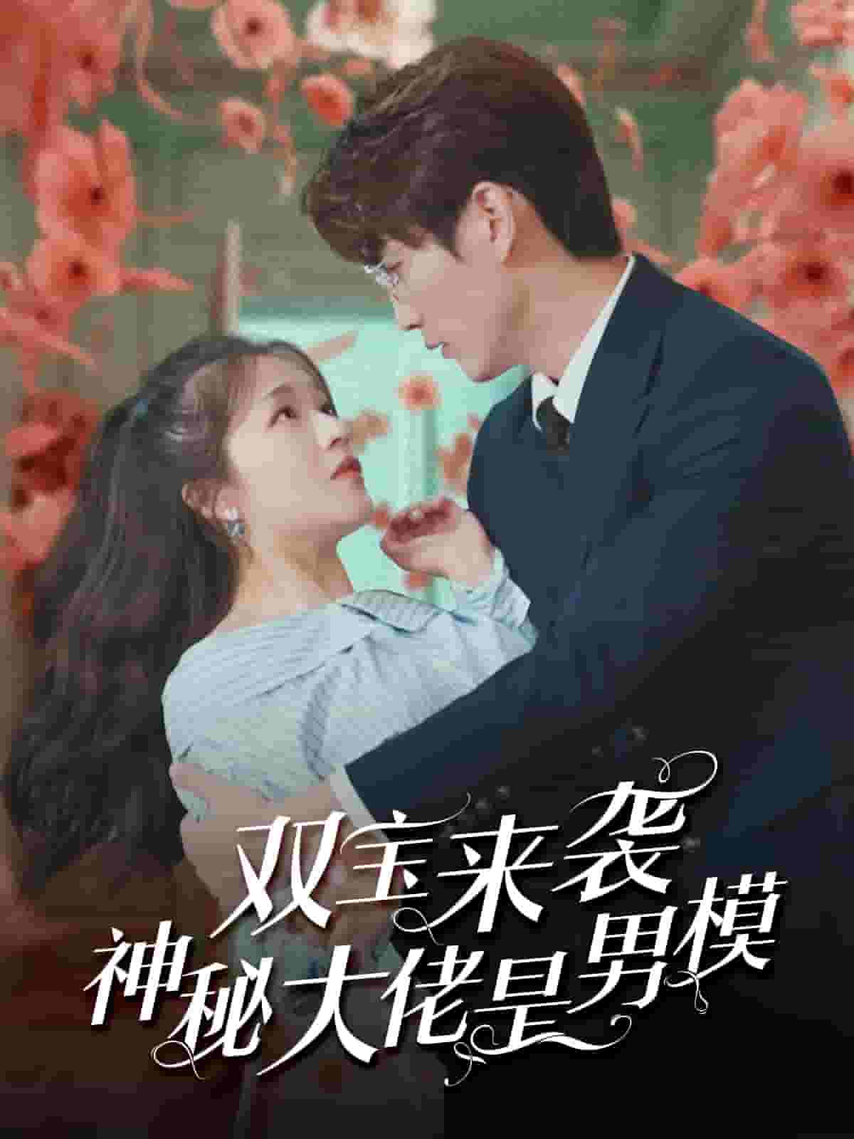 双宝来袭神秘大佬是男模第46集