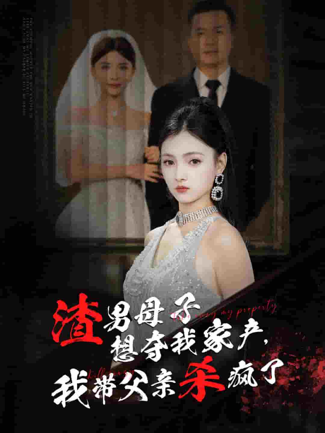 渣男母子想夺我家产我带父亲杀疯了第40集