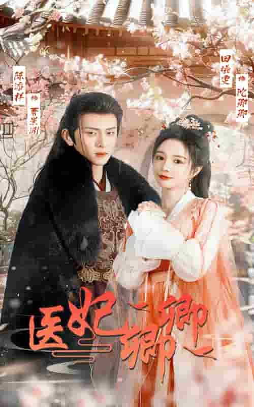医妃卿卿第02集