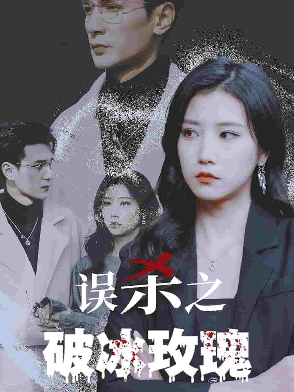 误杀之破冰玫瑰第04集