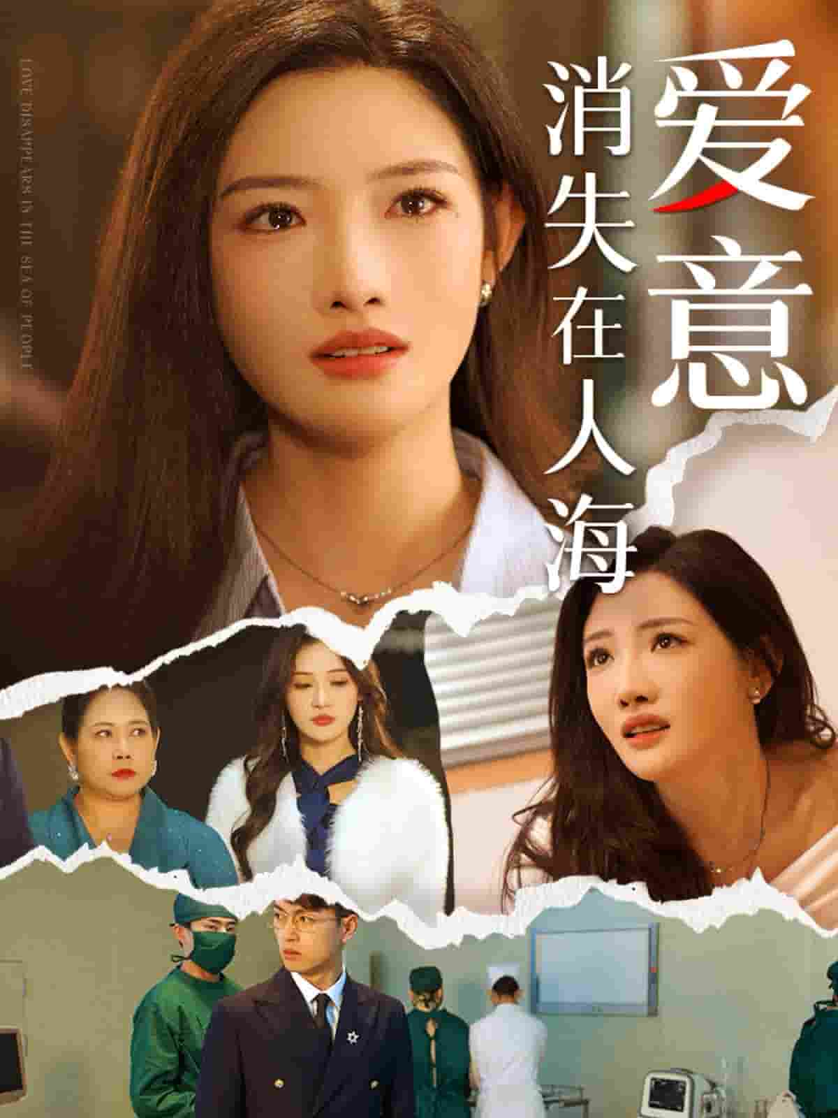 爱意消失在人海第01集