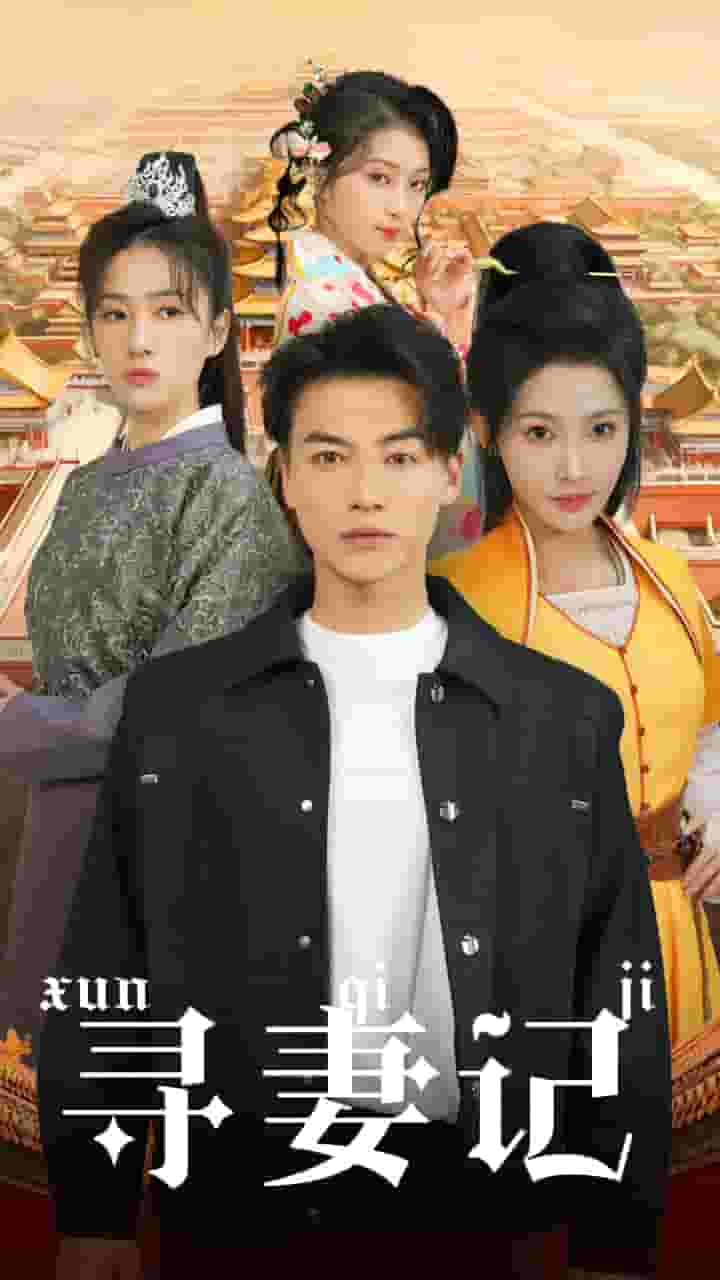 寻妻记第37集