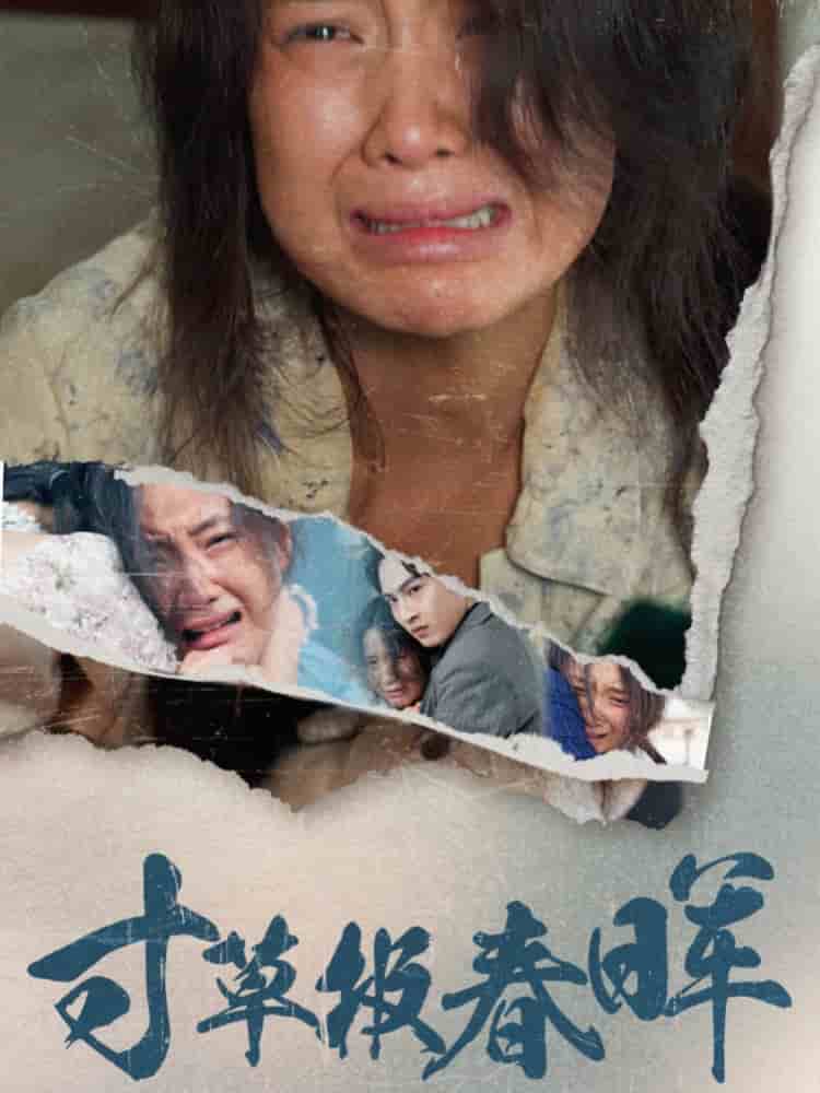 寸草报春晖第4集