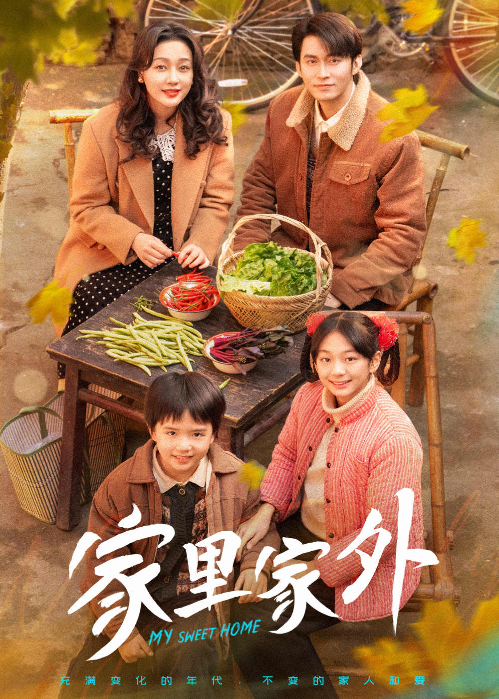 家里家外 短剧版第38集