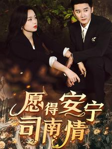 愿得安宁司南情第9集
