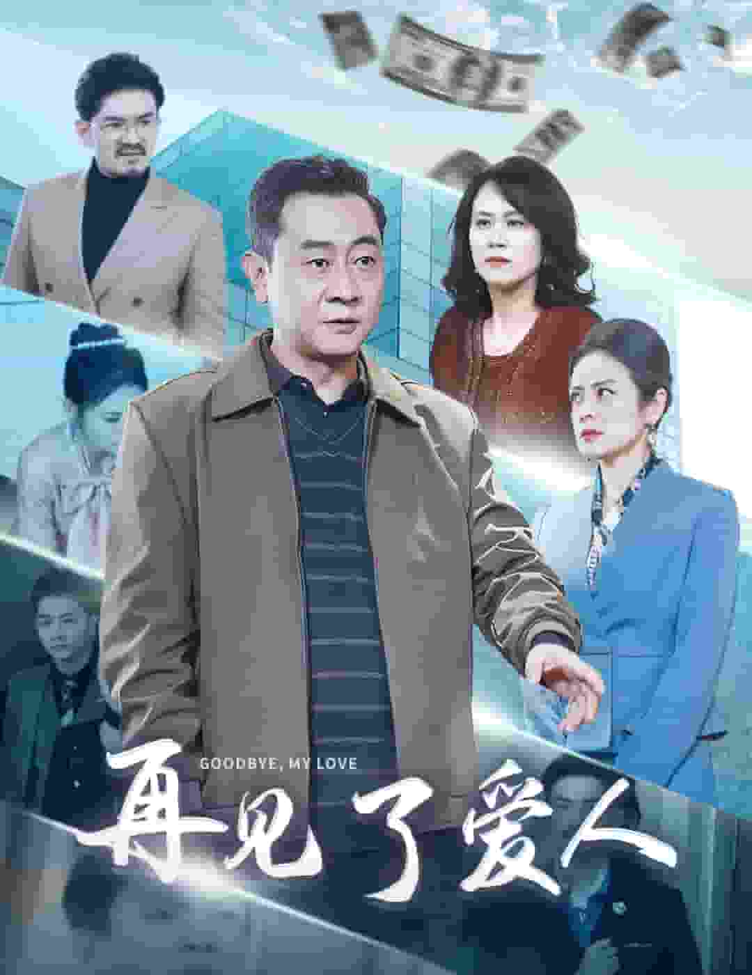 再见了爱人第1集