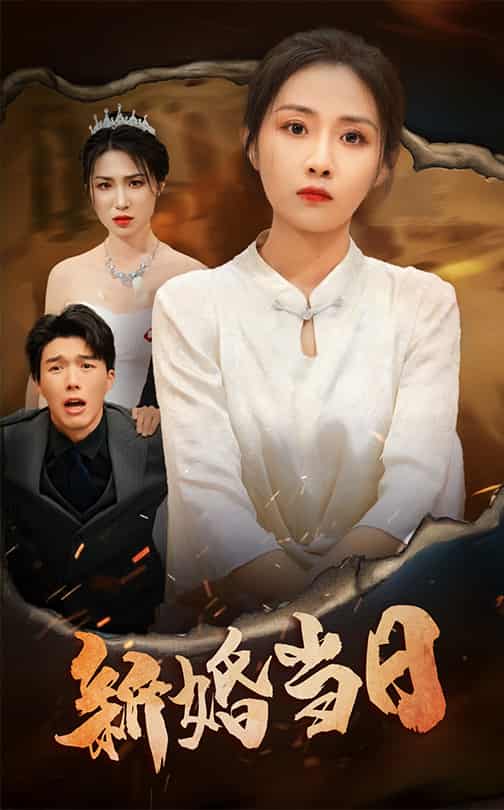 新婚当日第29集