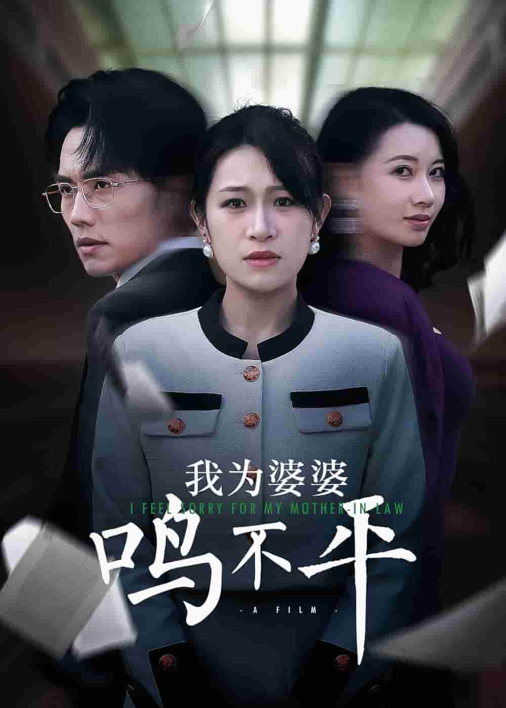 我为婆婆鸣不平第35集