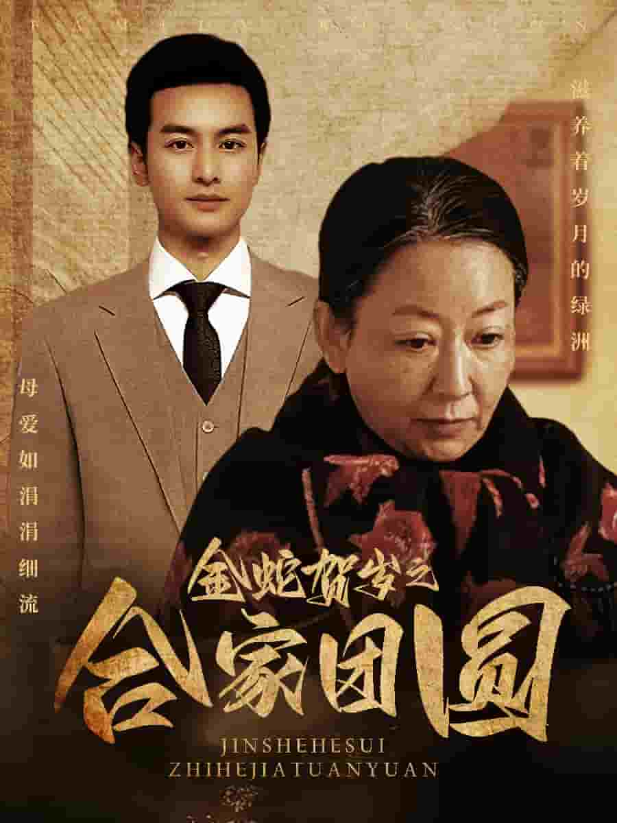 金蛇贺岁之合家团圆第5集