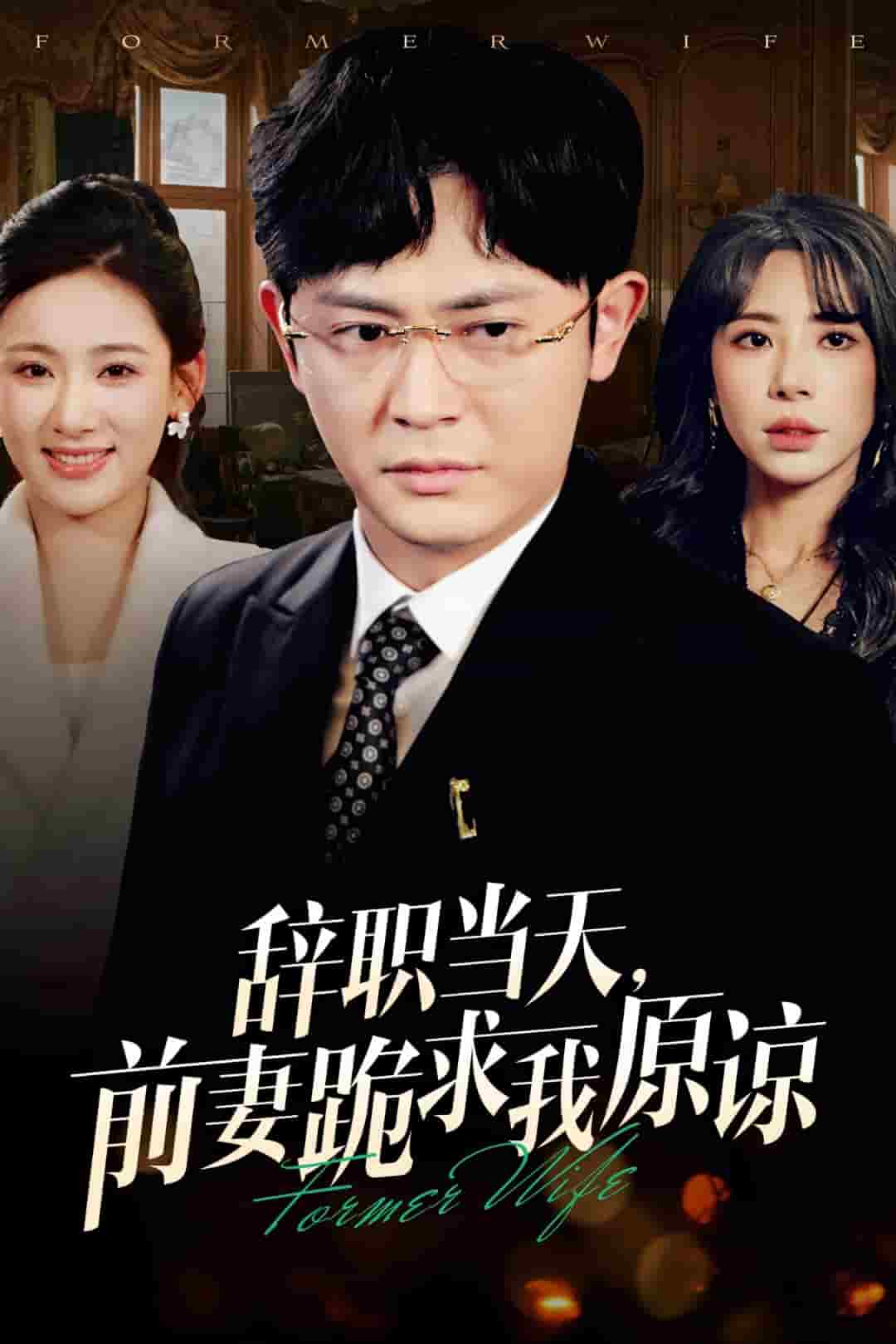 辞职当天前妻哭着求我原谅第7集