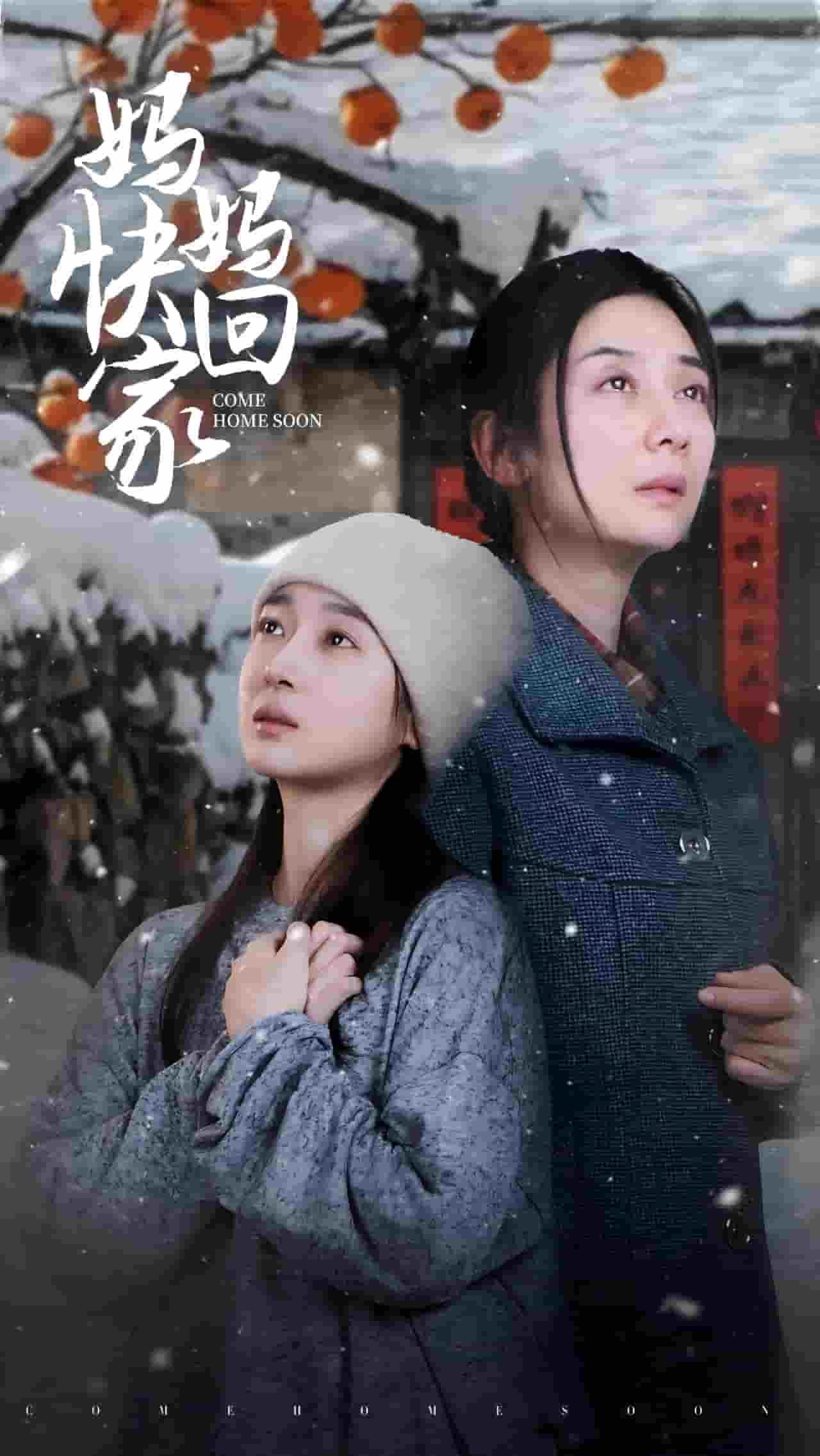 妈妈快回家第11集