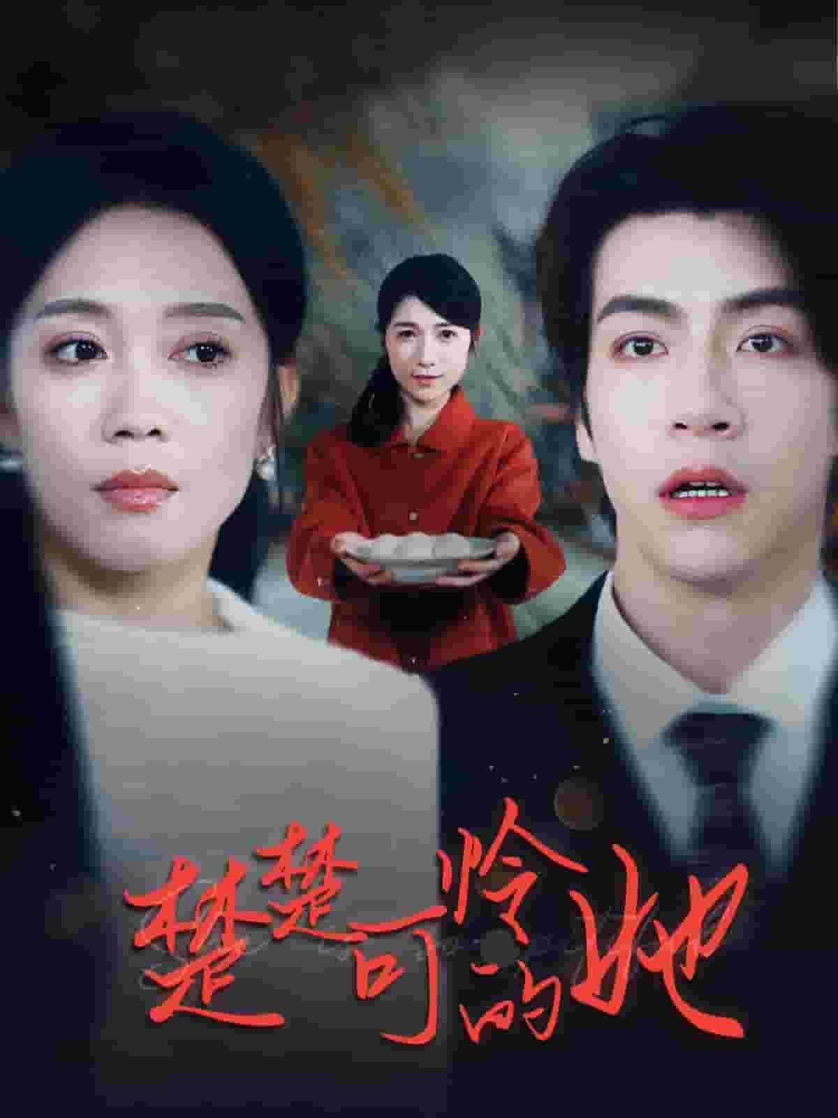 楚楚可怜的她第9集