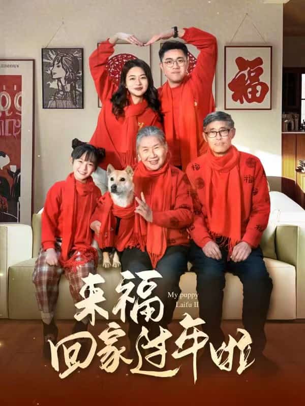 来福回家过年啦第1集