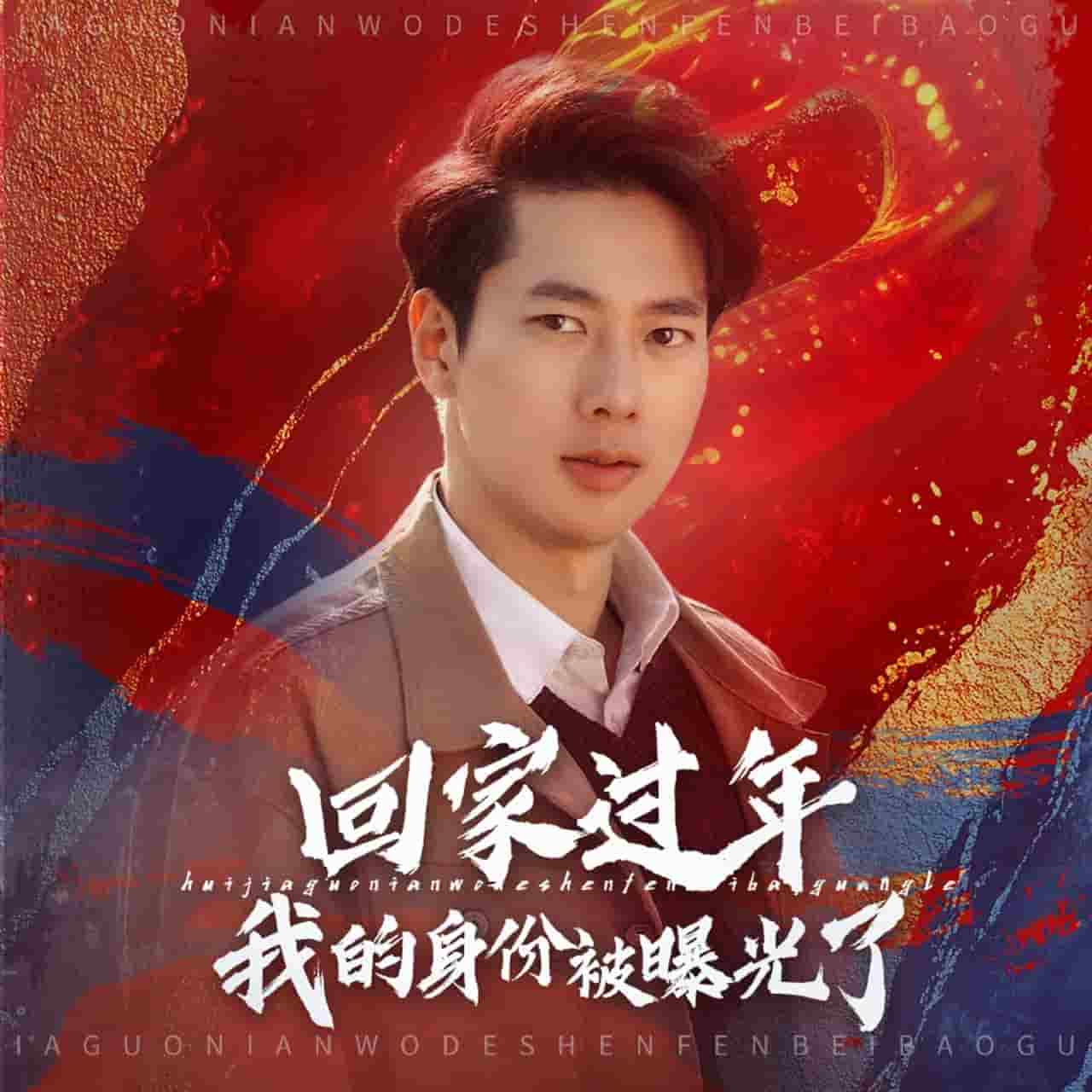 回家过年我的身份被曝光了第1集