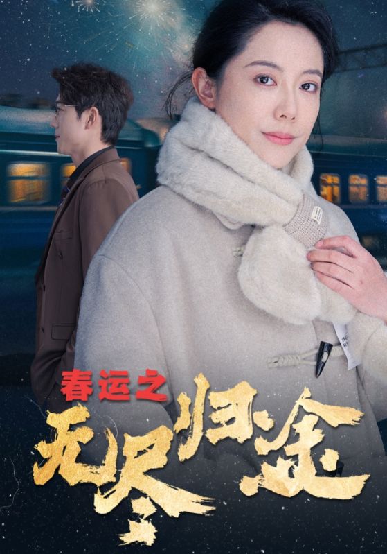春运之无尽归途第1集