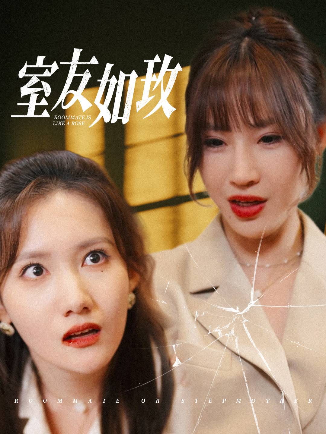 室友如玫第30集