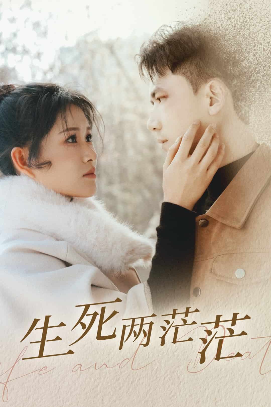 生死两茫茫第32集