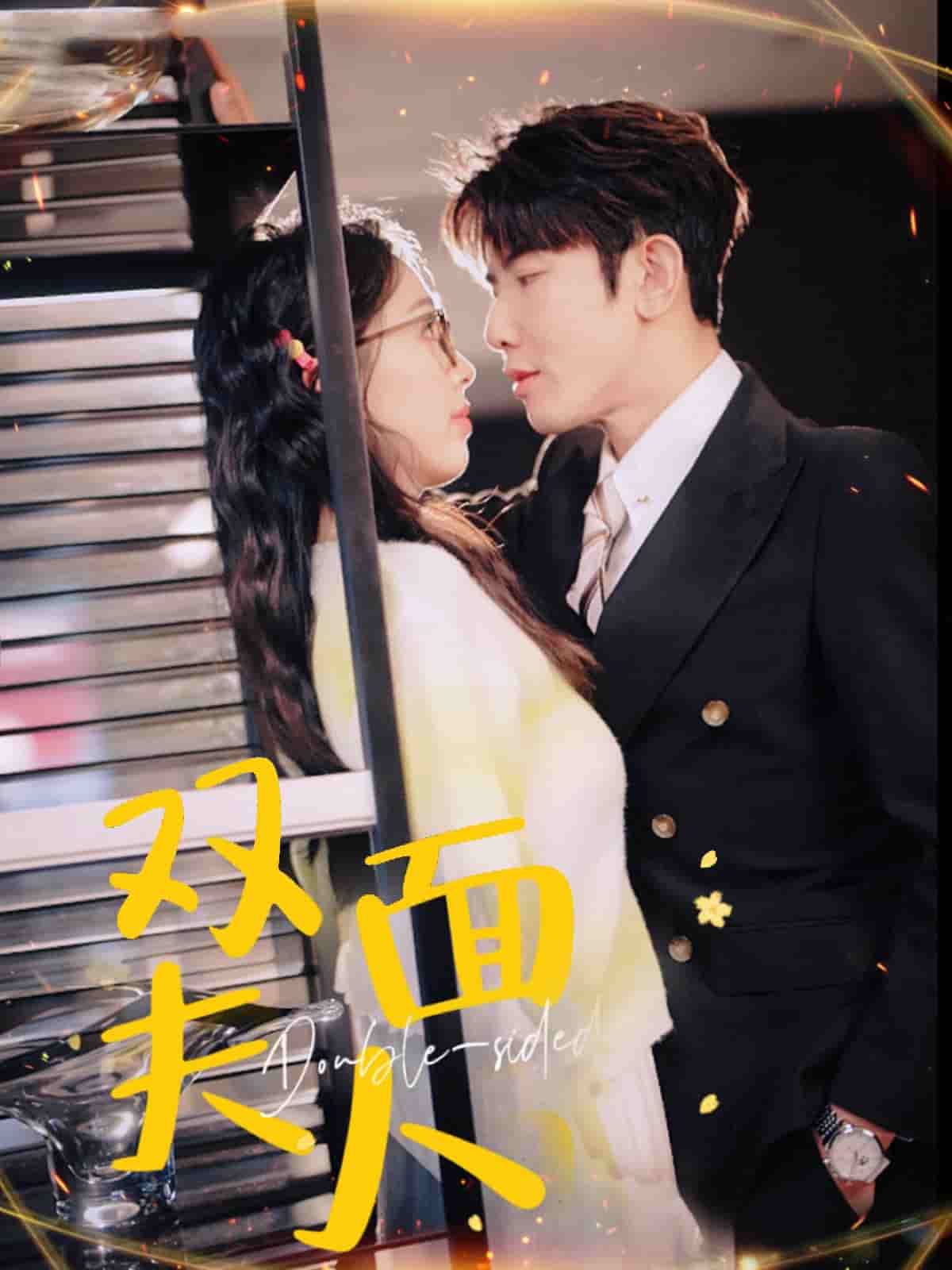 双面夫人第60集
