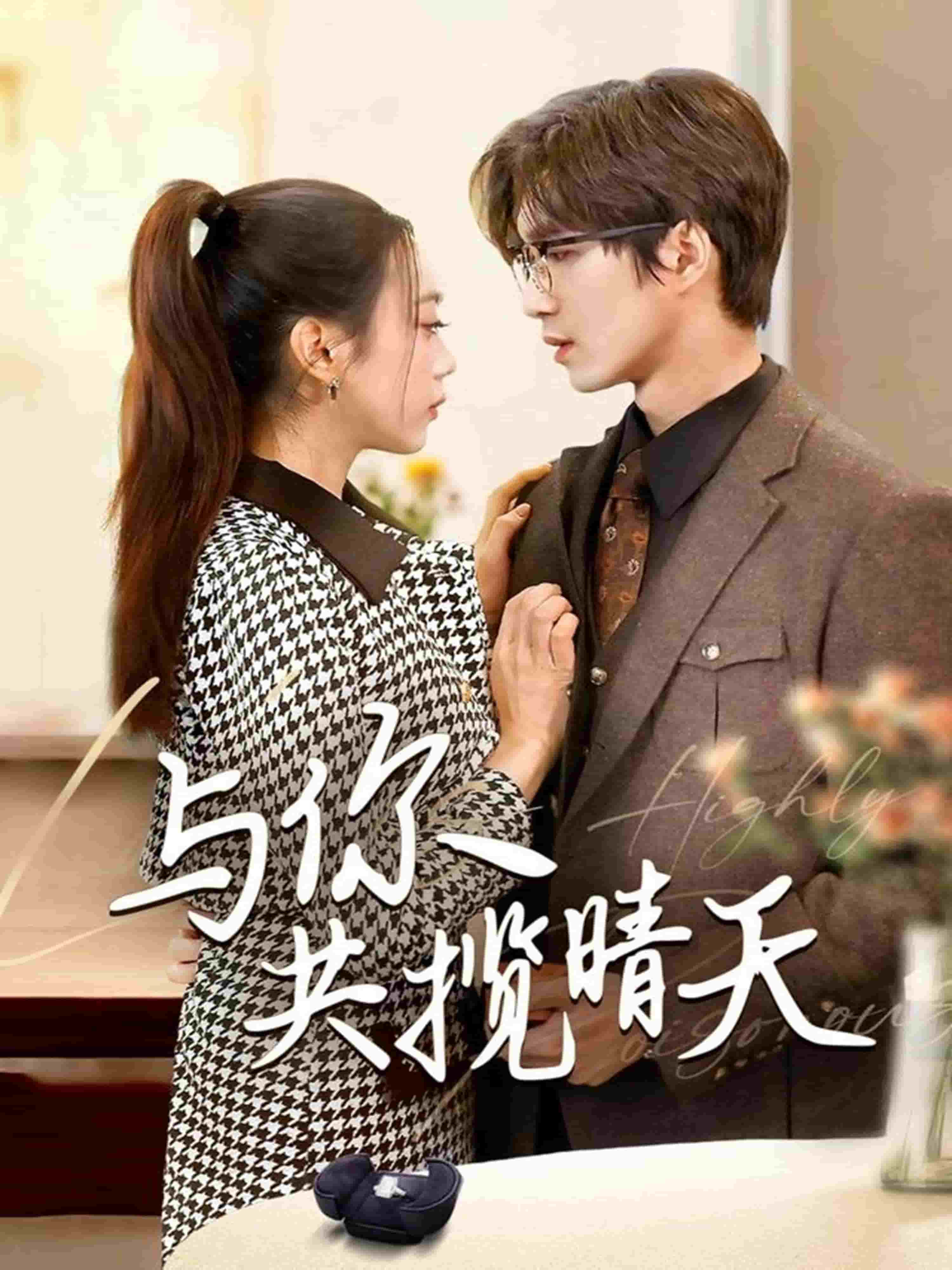 与你共揽晴天第47集
