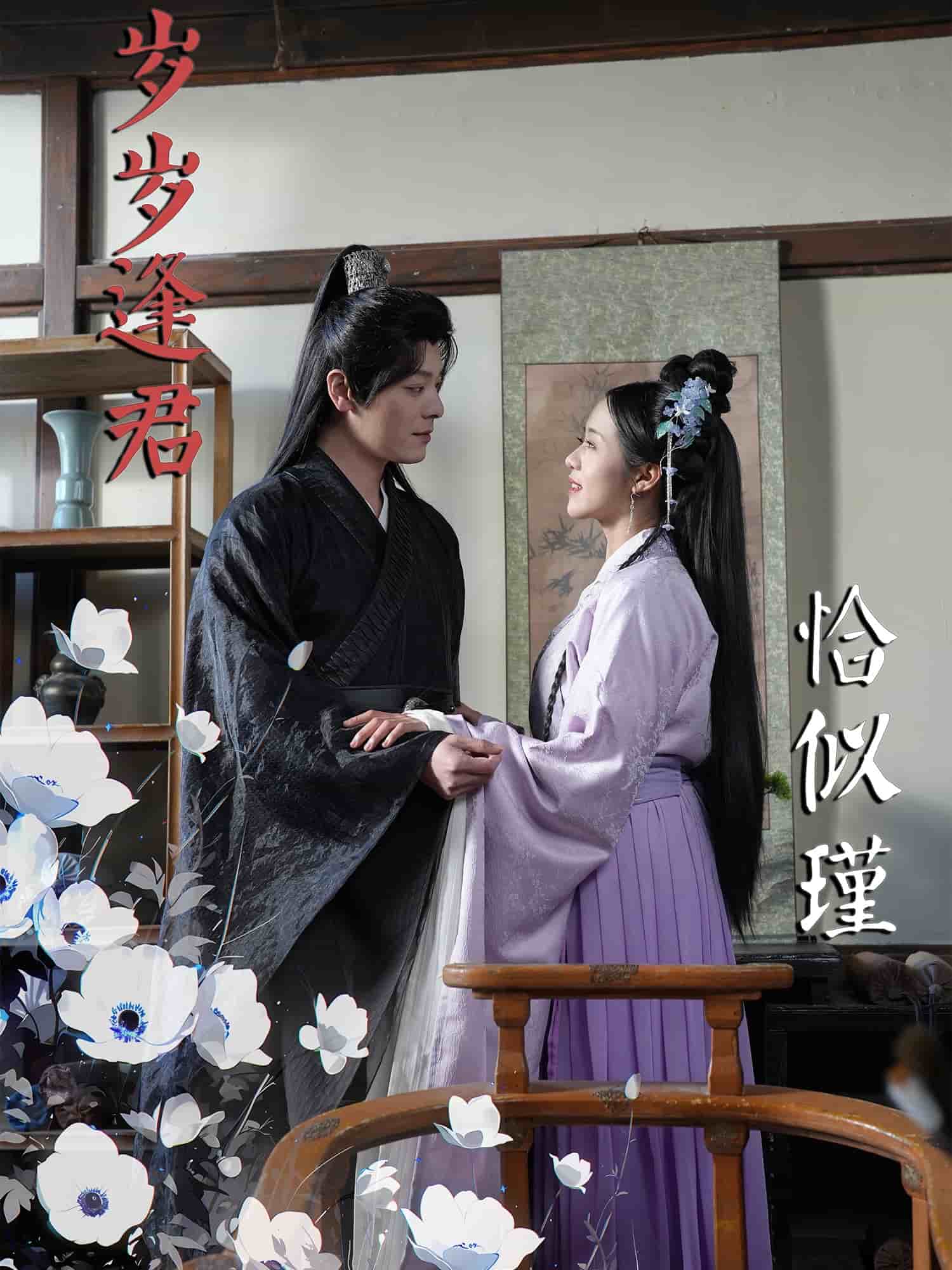 岁岁逢君恰似瑾第9集