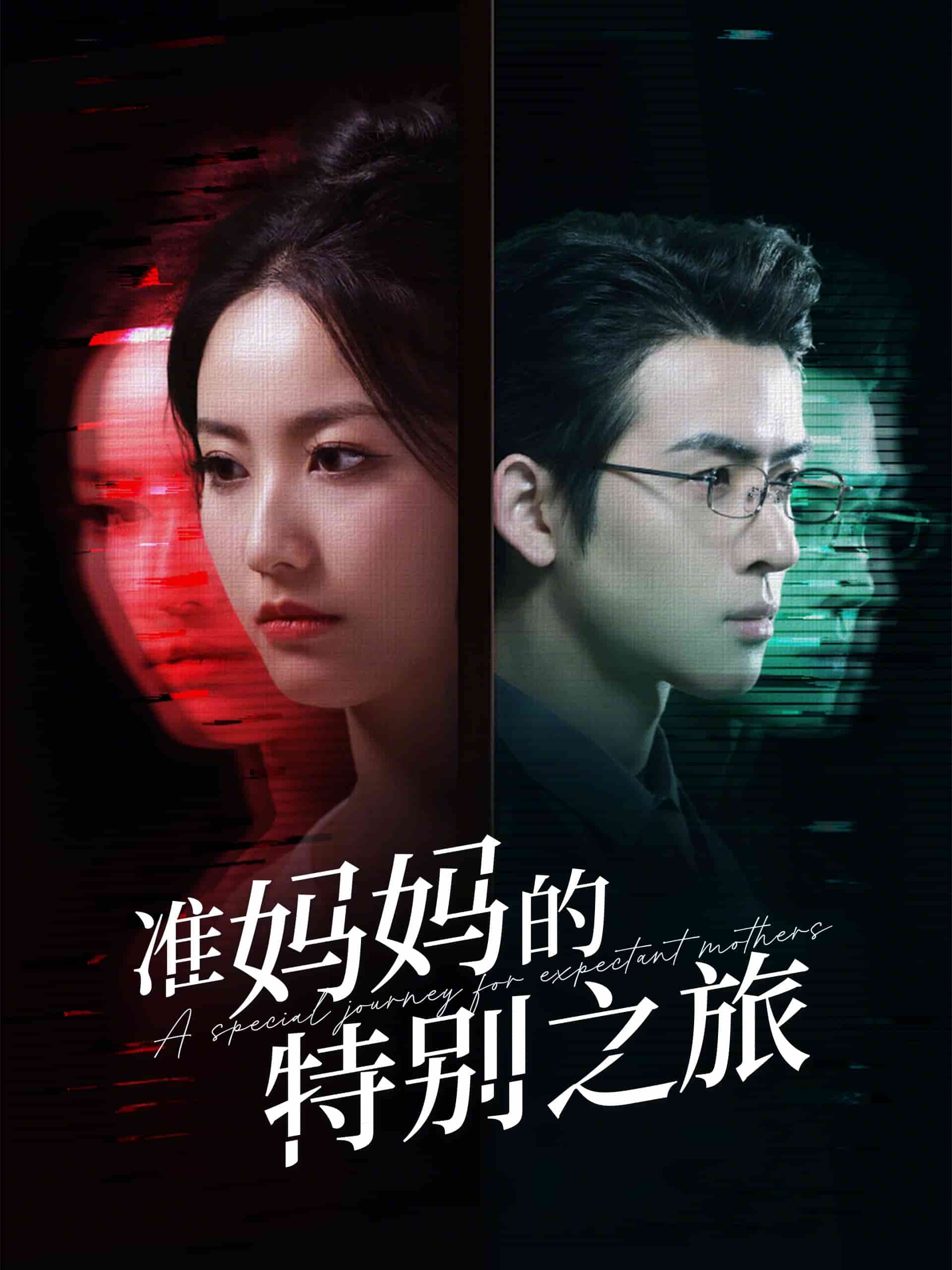 准妈妈的特别之旅第32集