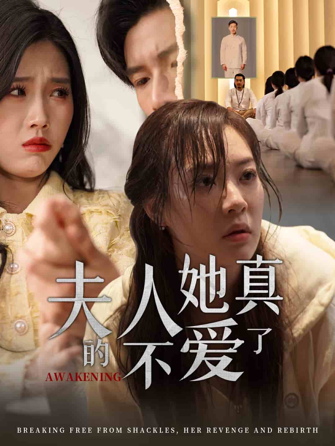 夫人她真的不爱了第1集
