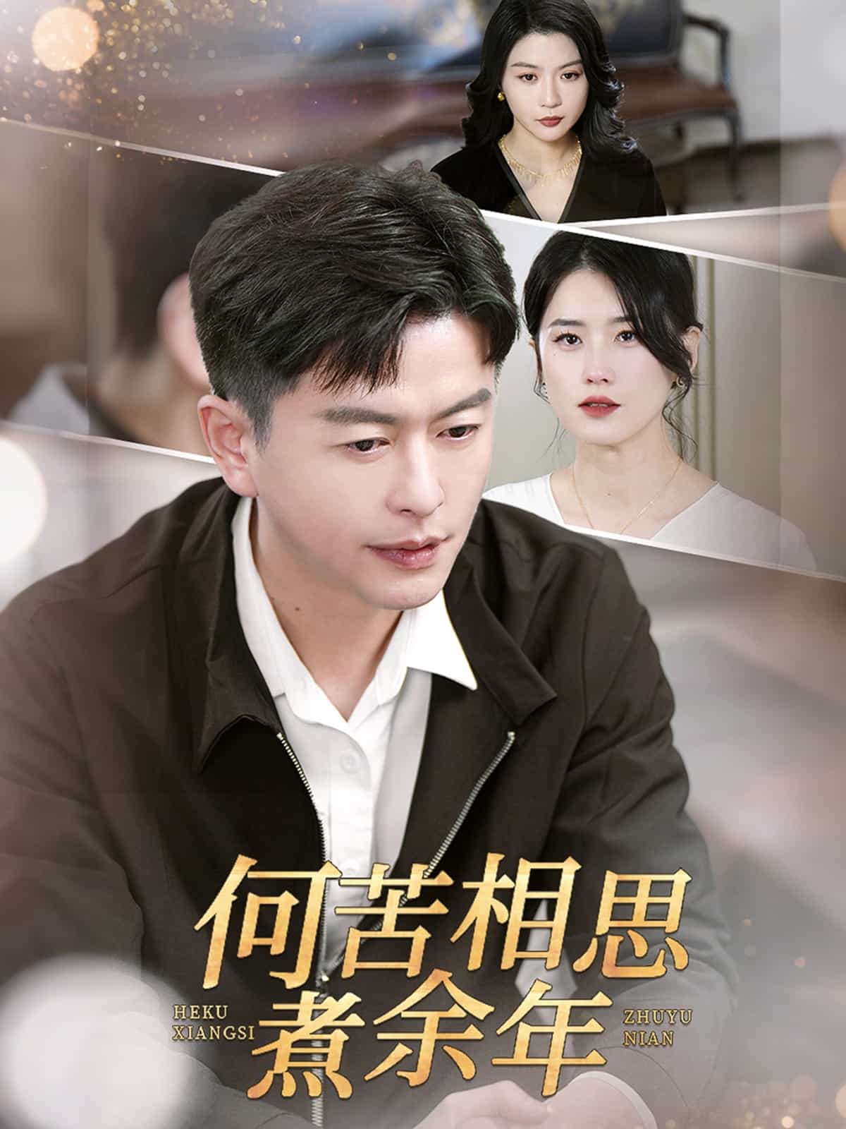 何苦相思煮余年第47集