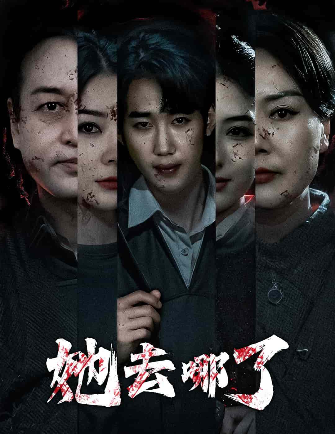 她去哪了第13集