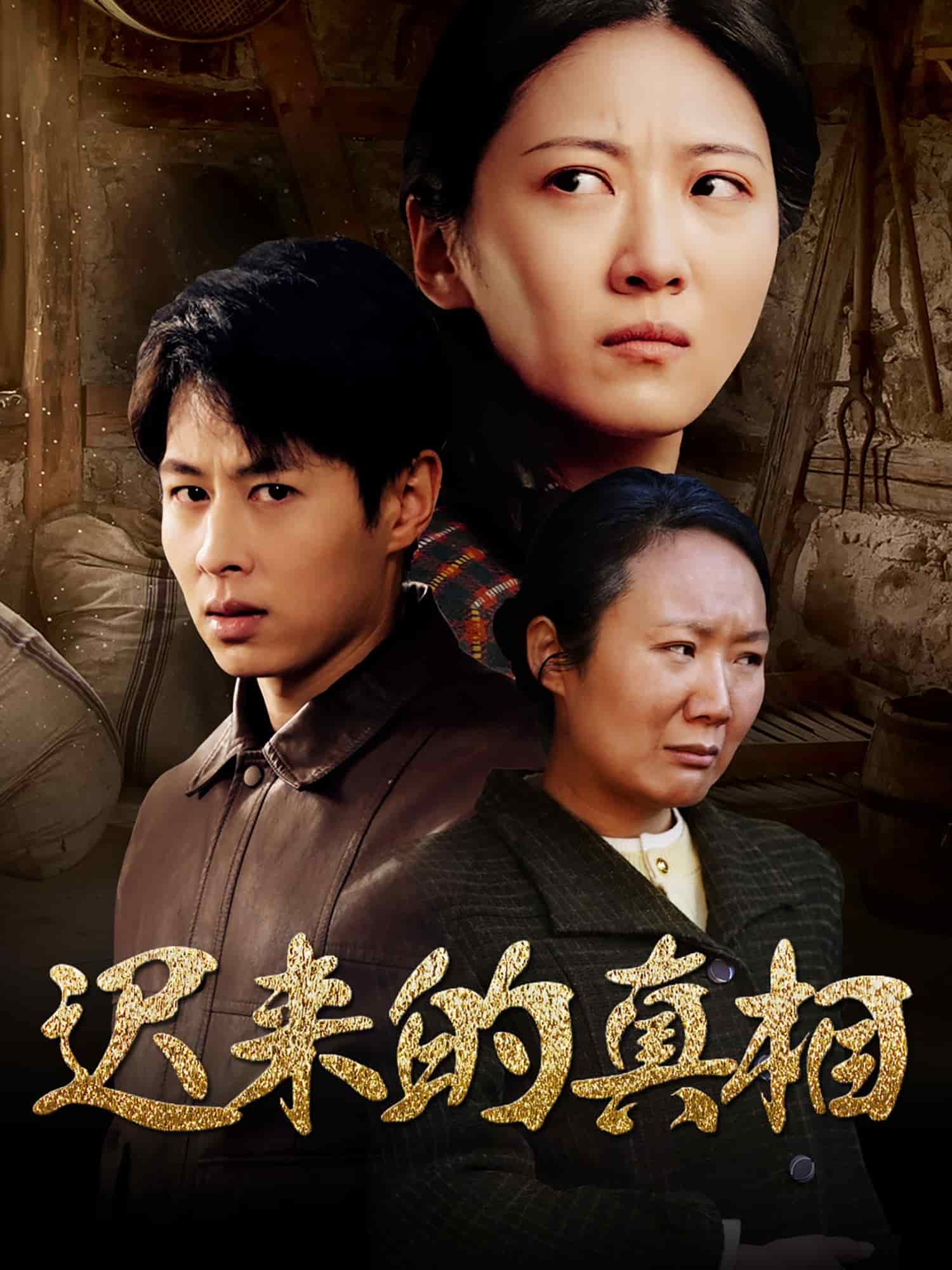 迟来的真相第25集