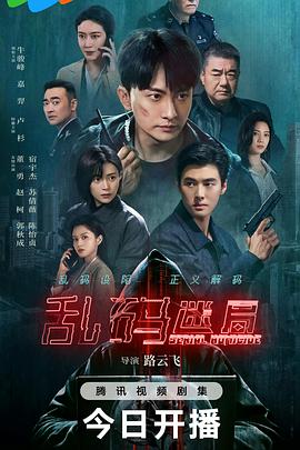乱码迷局第06集