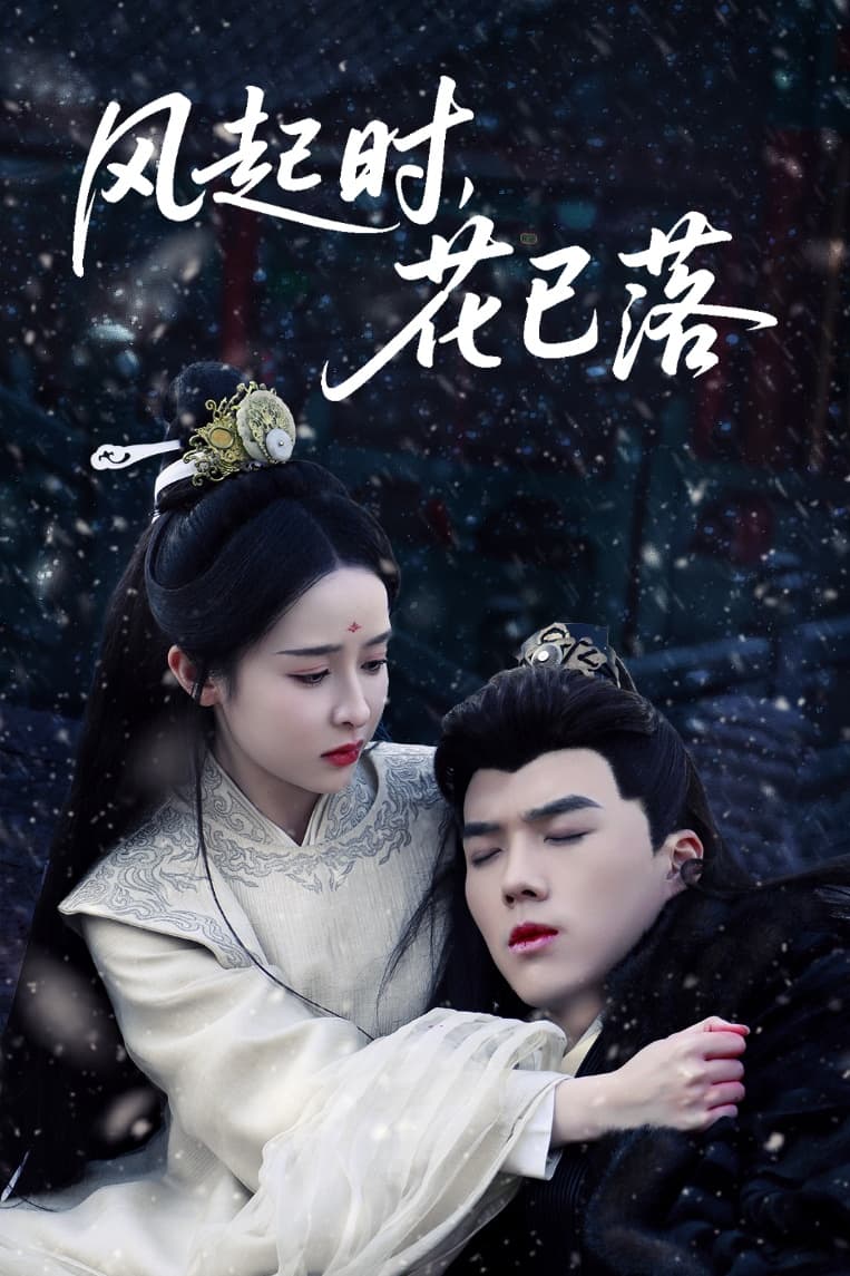 风起时，花已落第37集