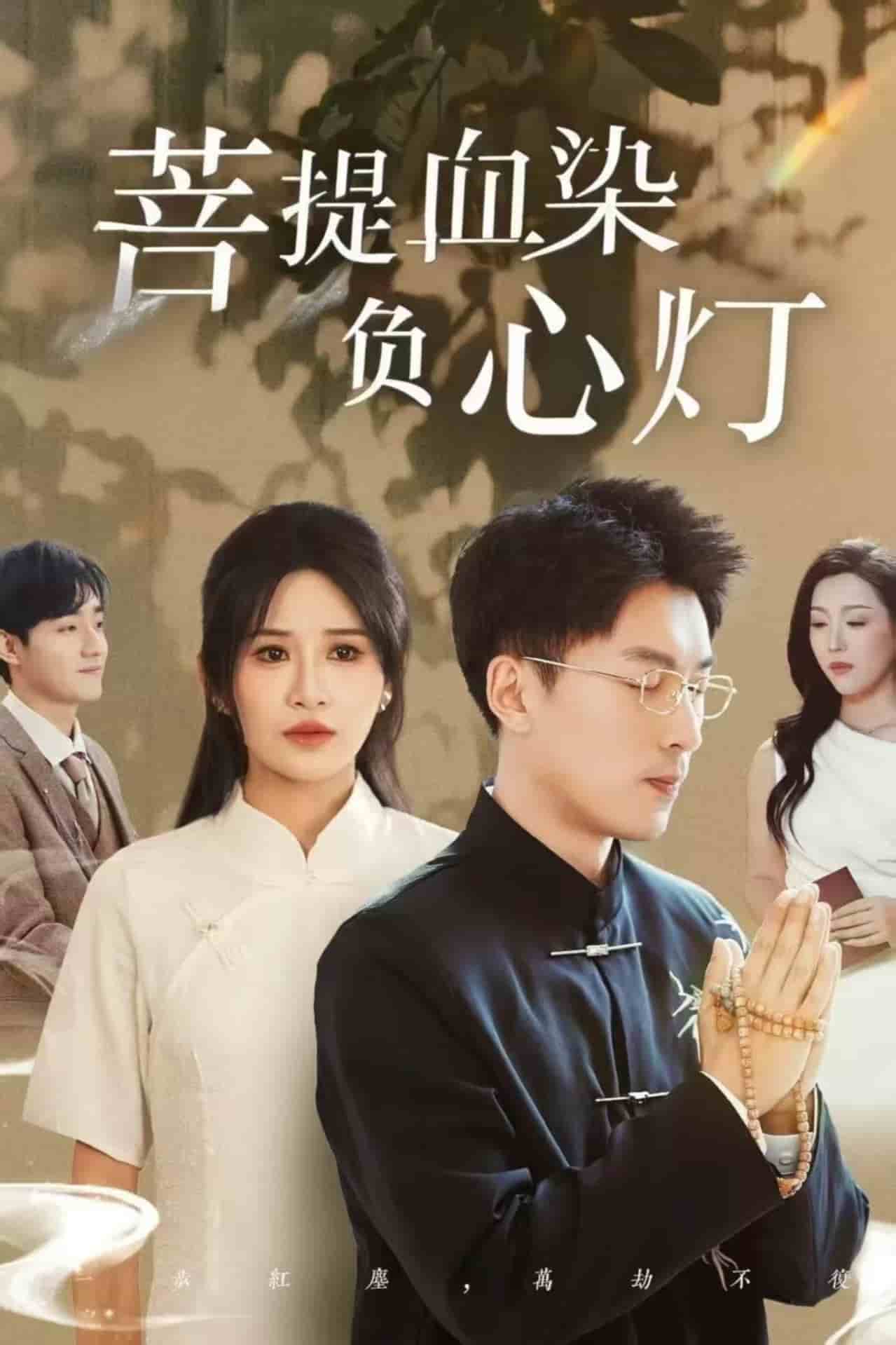 菩堤血染负心灯第31集