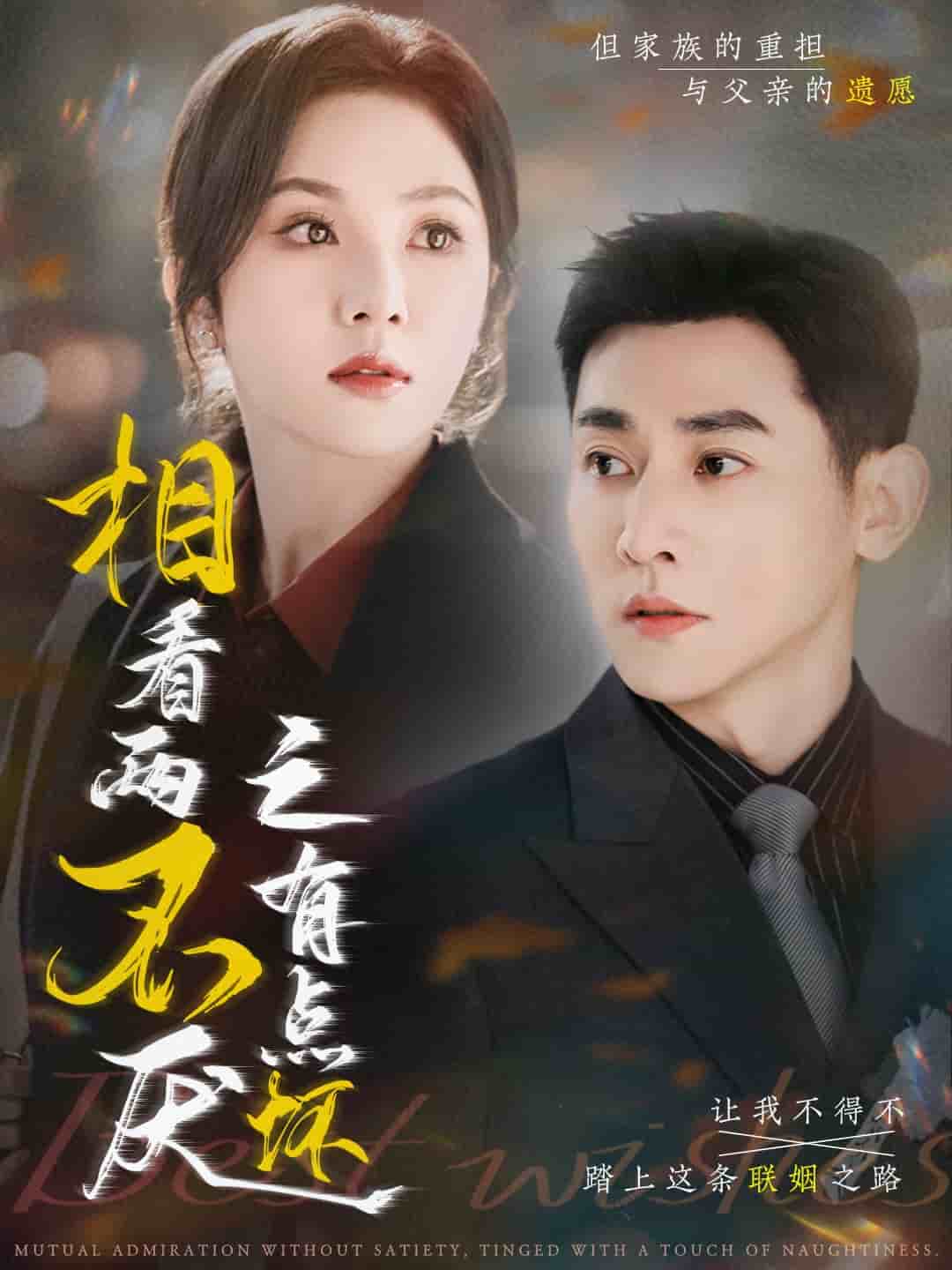 相看两不厌之有点坏第1集