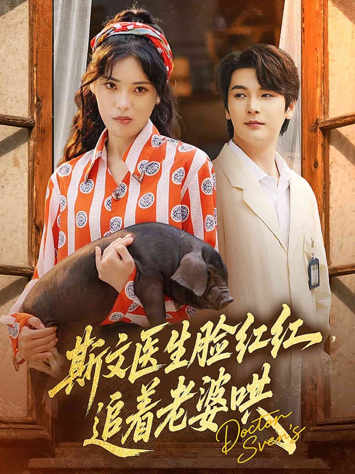 斯文医生脸红红追着老婆哄第5集