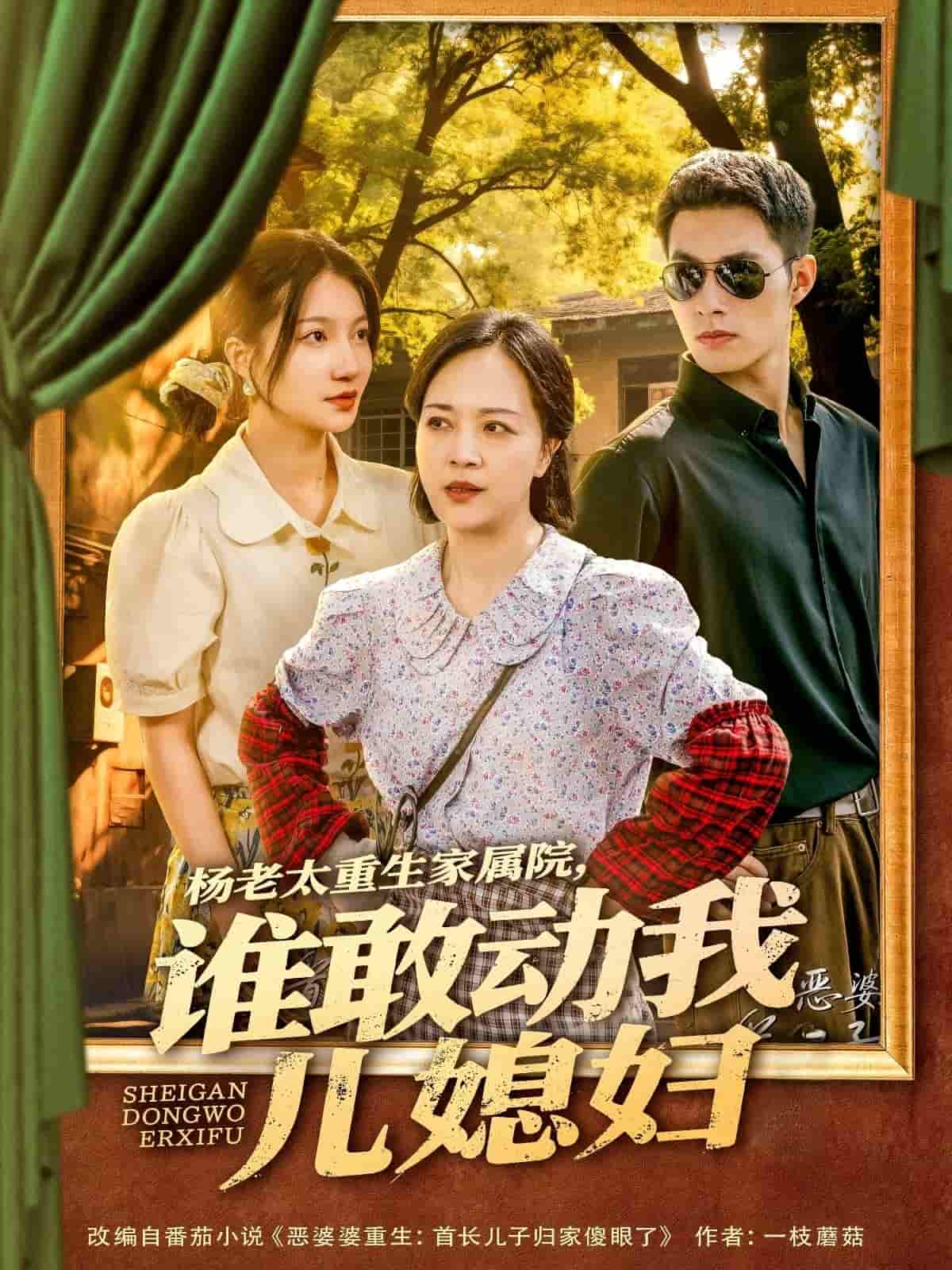 杨老太重生家属院，谁敢动我儿媳妇第52集