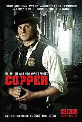 纽约警察故事第一季第01集