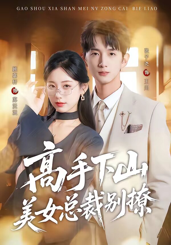 高手下山美女总裁别撩第01集