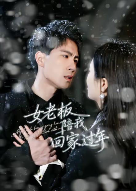 女老板陪我回家过年第15集