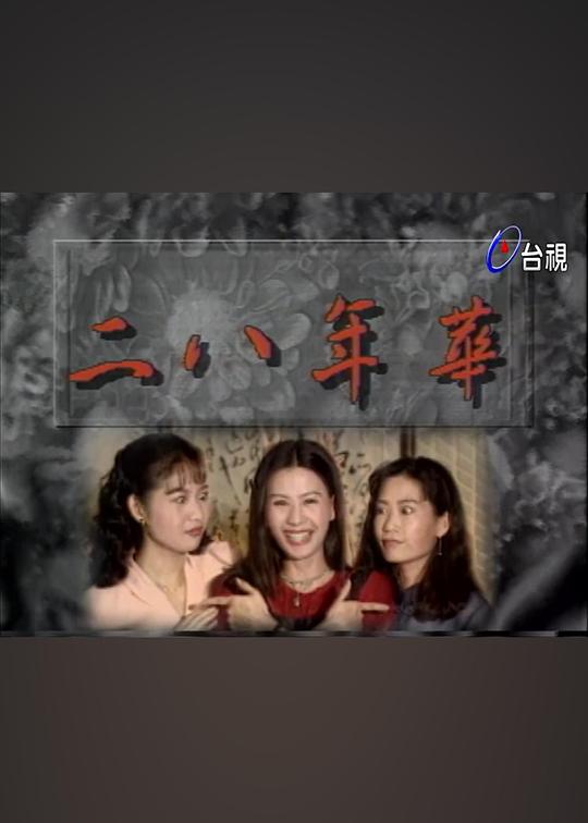 二八年华第01集