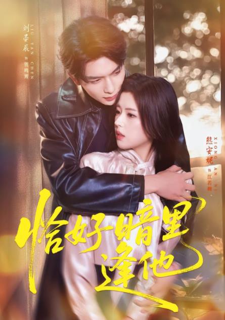 恰好暗里逢他第23集