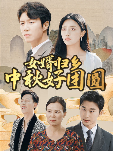 女婿归乡中秋好团圆第33集