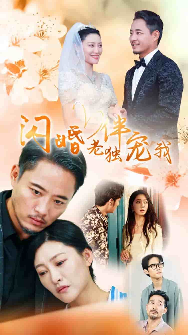 再婚伴侣老来福第29集