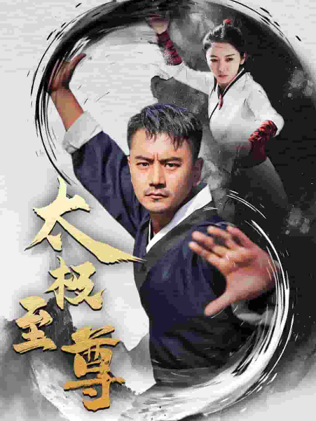 太极至尊第15集