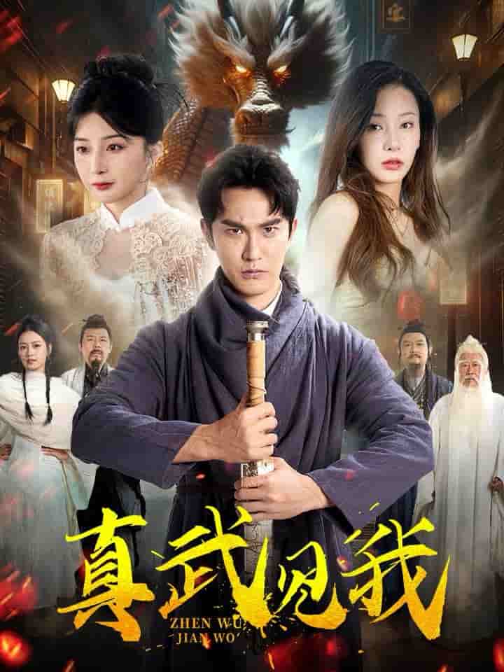 真武见我第29集