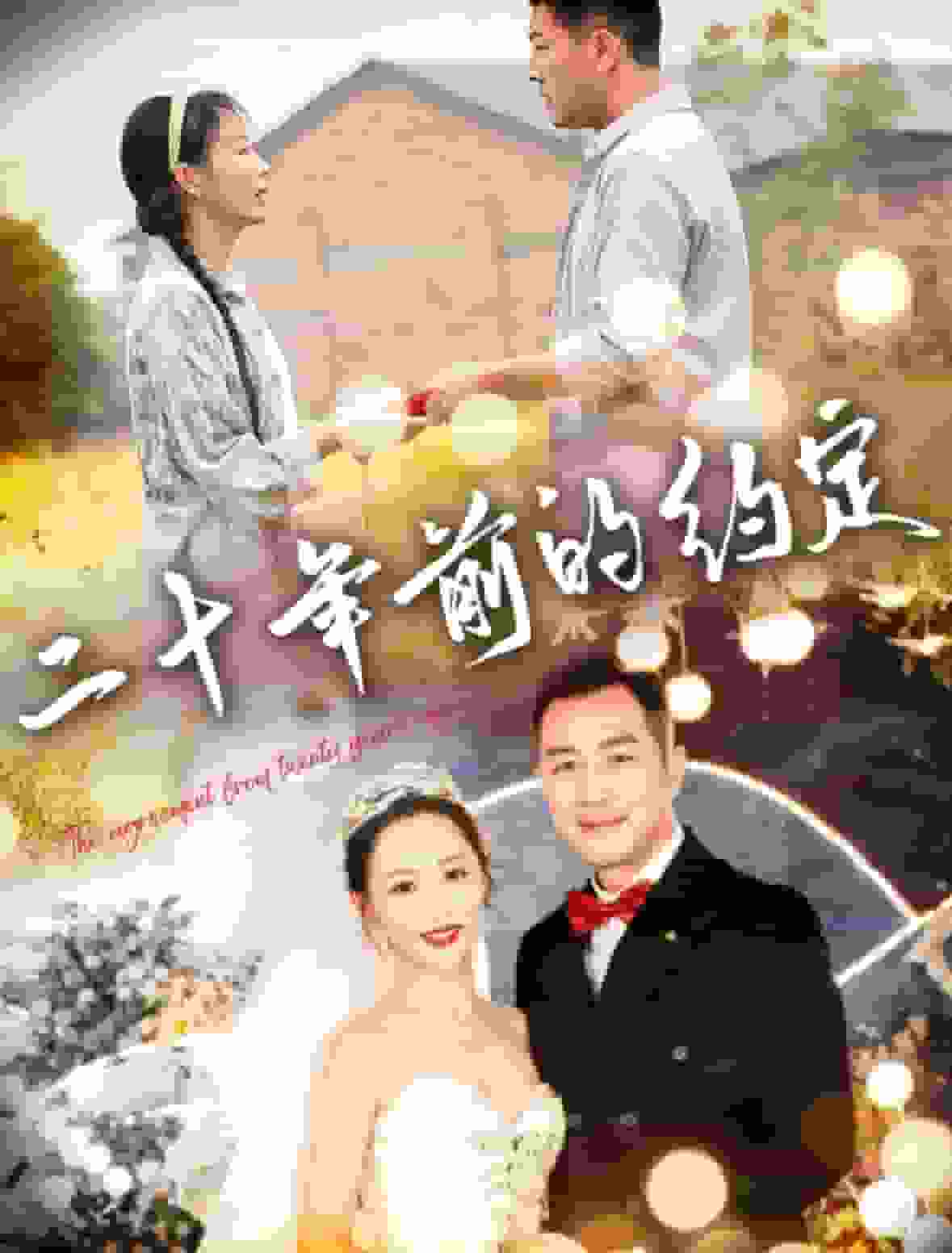 二十年前的约定第10集
